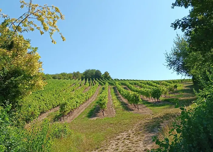 Ferienhaus Hammerstein Nyaraló Albig